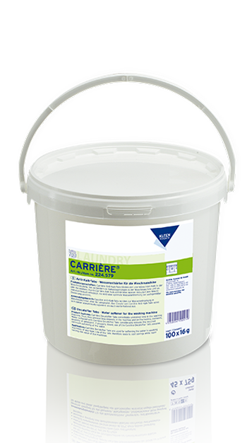 Kleen Purgatis Carrière